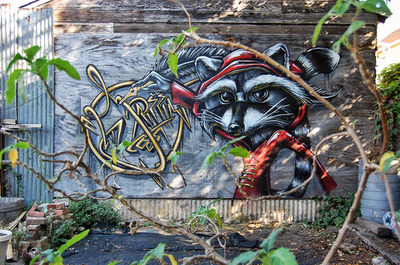 Oakland Raccoon Writer.