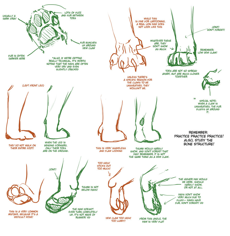 big_cat_paw_tutorial_2_by_tamberella-d3ewvdu