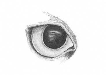 1115_creativeprocess1_1