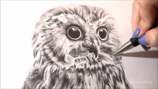how-to-draw-an-owl-1-0-s-307x512
