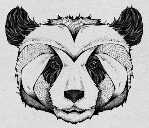 how to draw panda