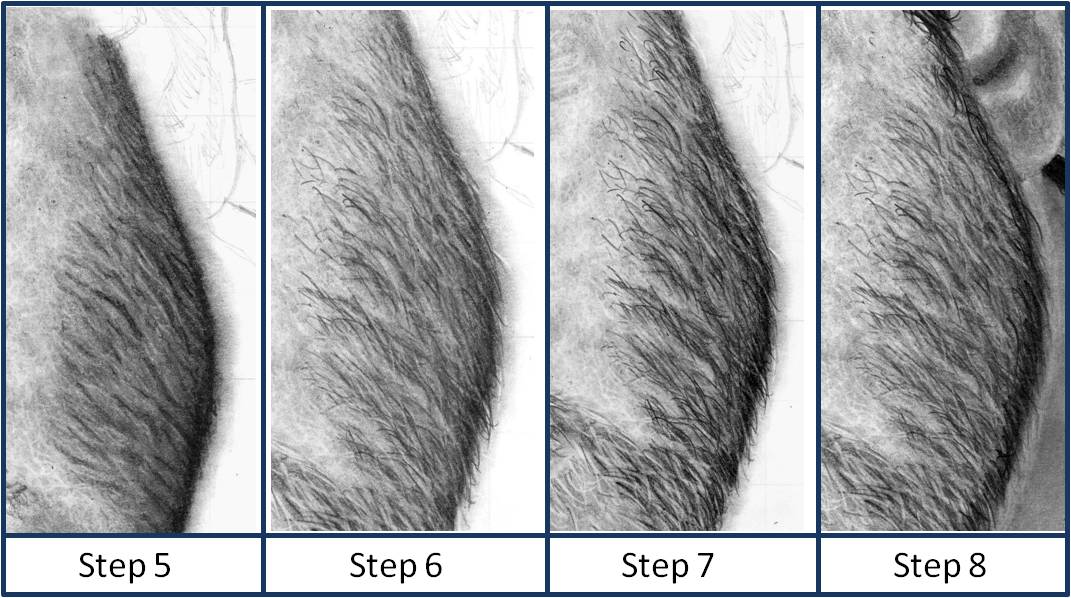 beard_step_5_to_8_by_paul_shanghai-d6t3qzc