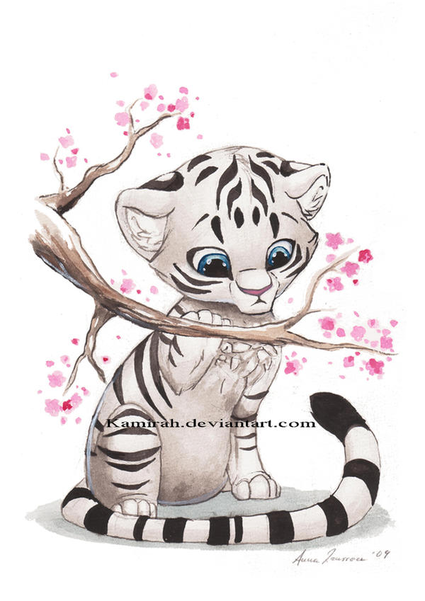 malý tiger